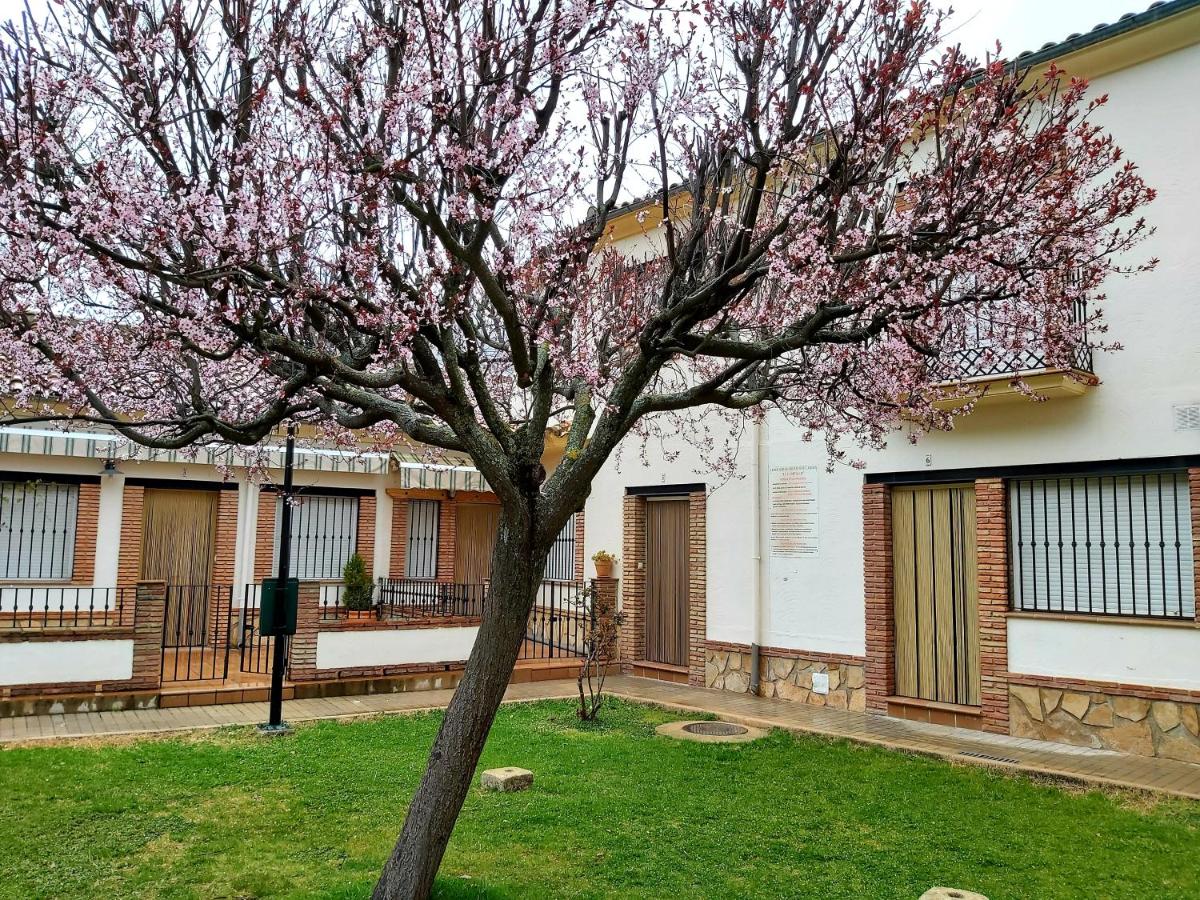 Del Romero - B&B Arroyo Frio