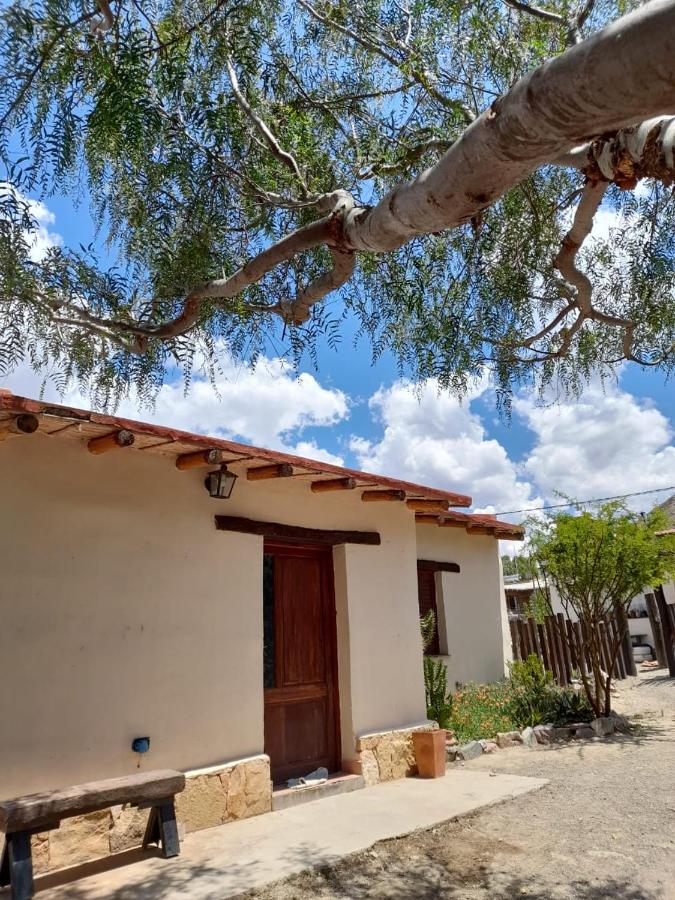 Cactus y Almacen - Purmamarca - B&B Purmamarca