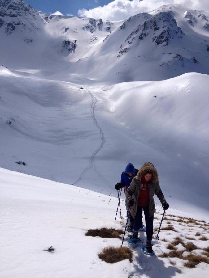 Apartment mit 1 Schlafzimmer