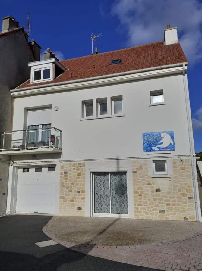 Le bélouga - B&B Sangatte