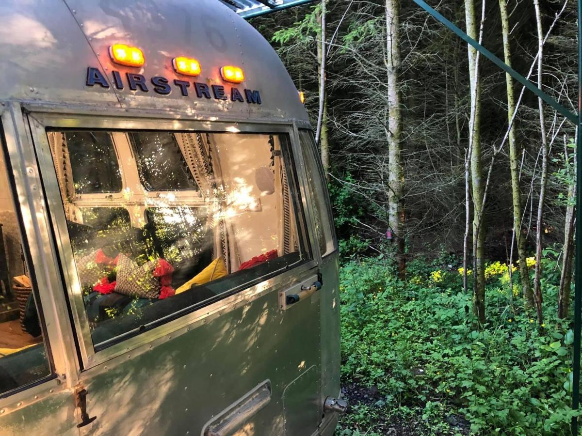 B&B Galston - Airstream Woodland Escape - Bed and Breakfast Galston