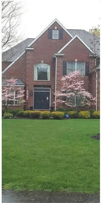 Comfortable, spacious, 1bdrm basement apartment, sleeps 4 - B&B