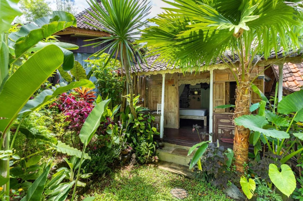 Chambre Double - Vue sur Piscine