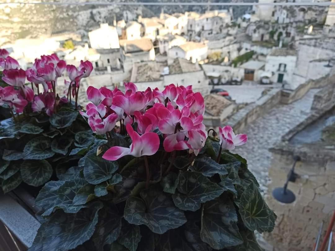 Slow Living B&B - B&B Matera