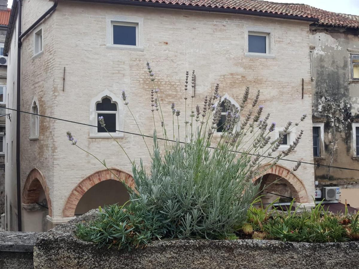 Studio with Sofa Bed