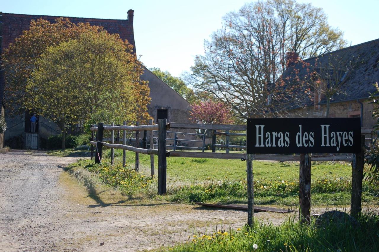 B&B Tresson - Haras des Hayes - Bed and Breakfast Tresson