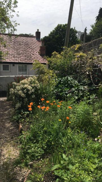 Double Room with Garden View