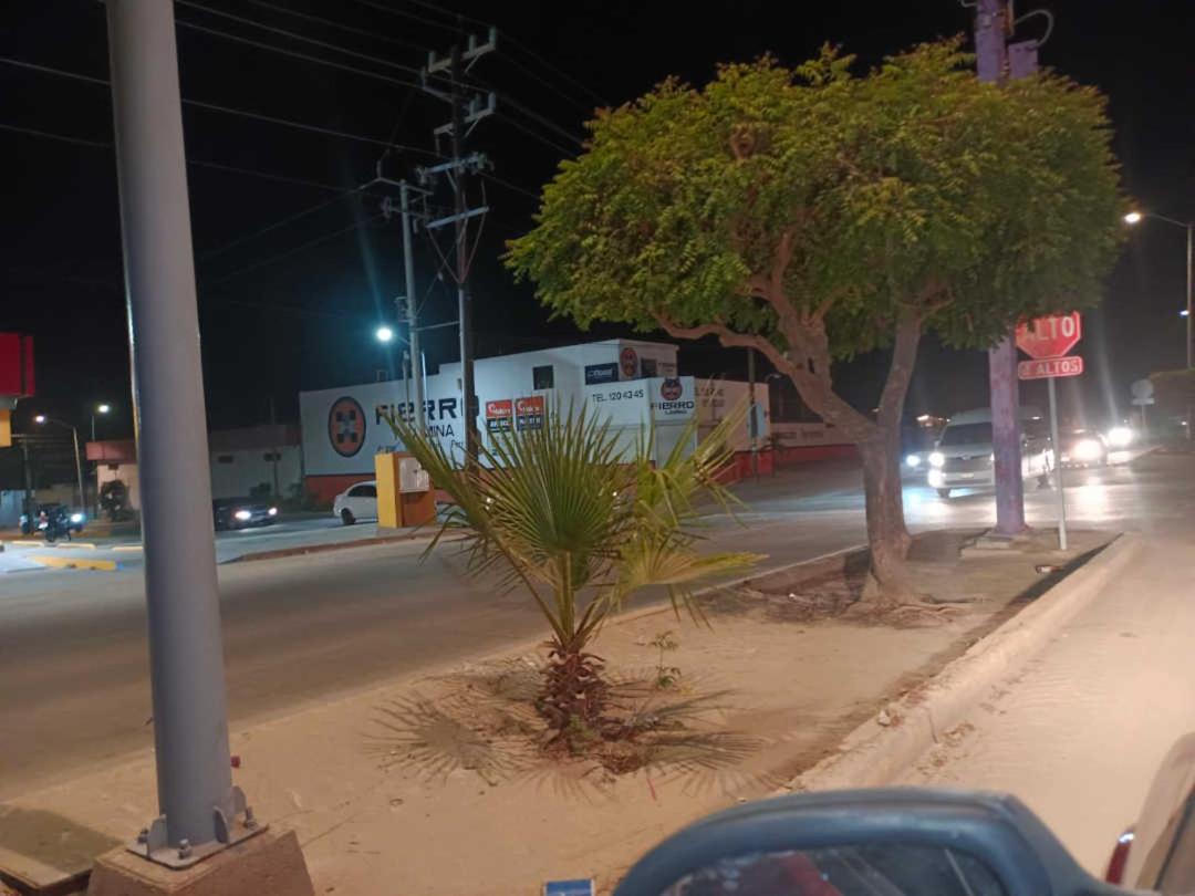 casa agave - B&B San José del Cabo