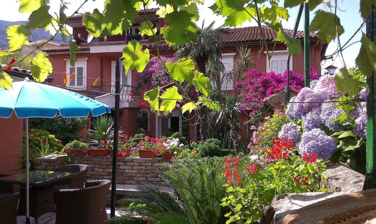Apartment City Garden - B&B