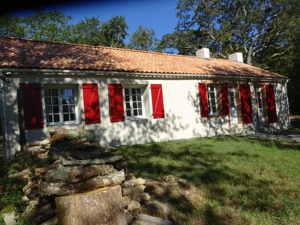 Rénovation proche lac et mer - B&B