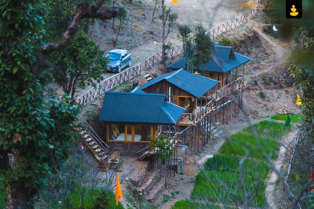 B&B Shimla - LivingStone Shimla Jungle Stay - Bed and Breakfast Shimla