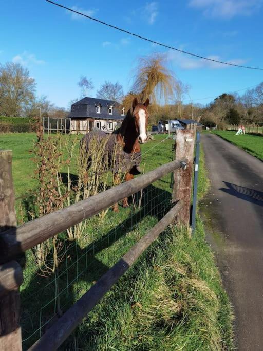 B&B Saint-Julien-sur-Calonne - Obungalow de July Belle vue - Bed and Breakfast Saint-Julien-sur-Calonne