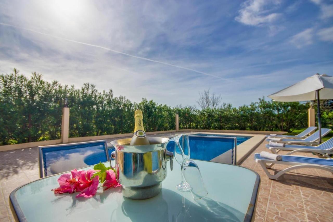 Ideal Property Mallorca - Lina - Sa Figuera Blanca - B&B Búger