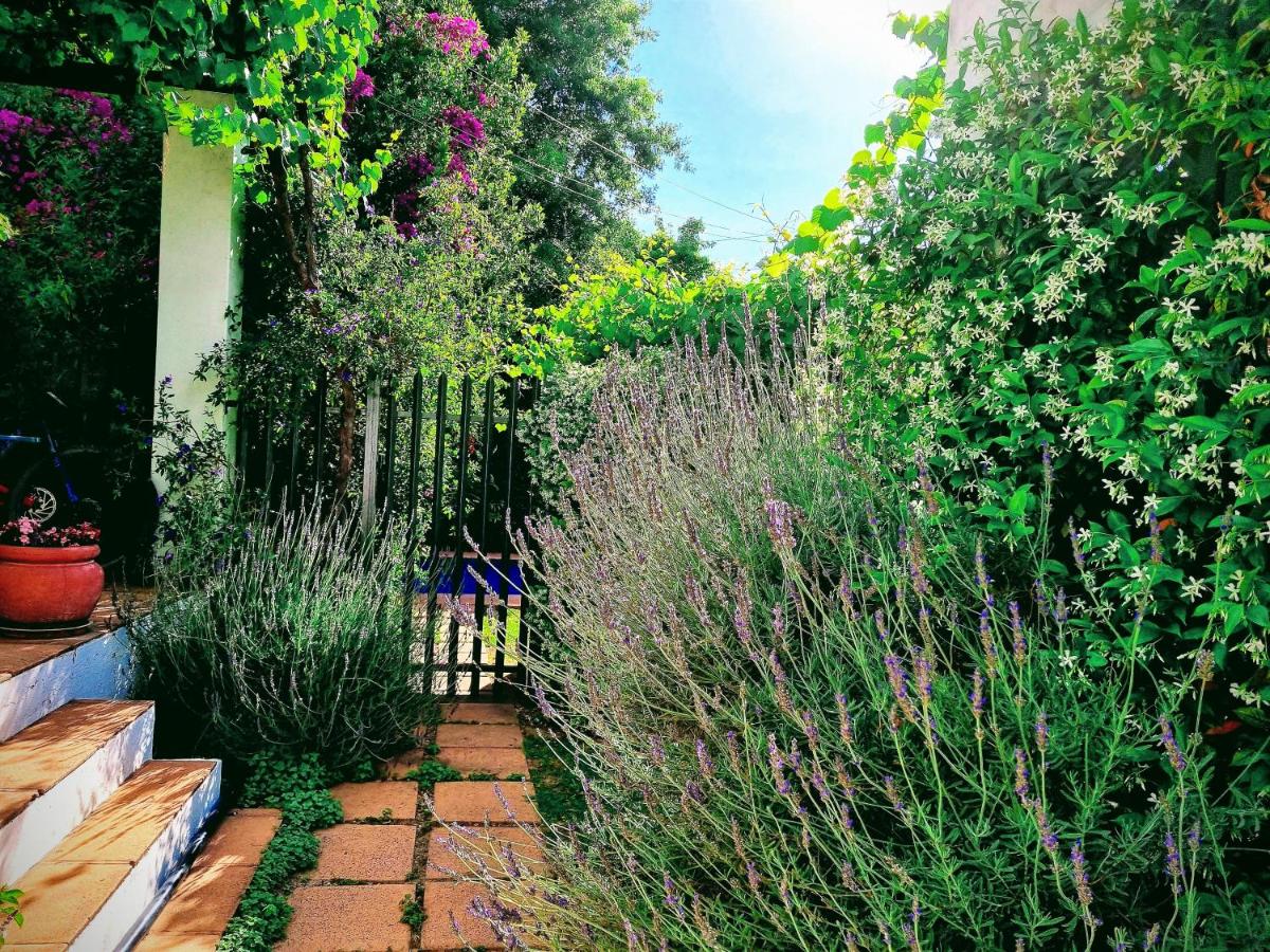 Sunny Lane - B&B Franschhoek