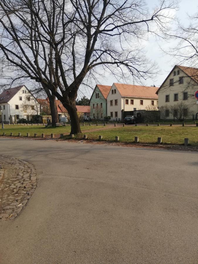 Ferienhaus -Am alten Dorfplatz- - B&B Dresda