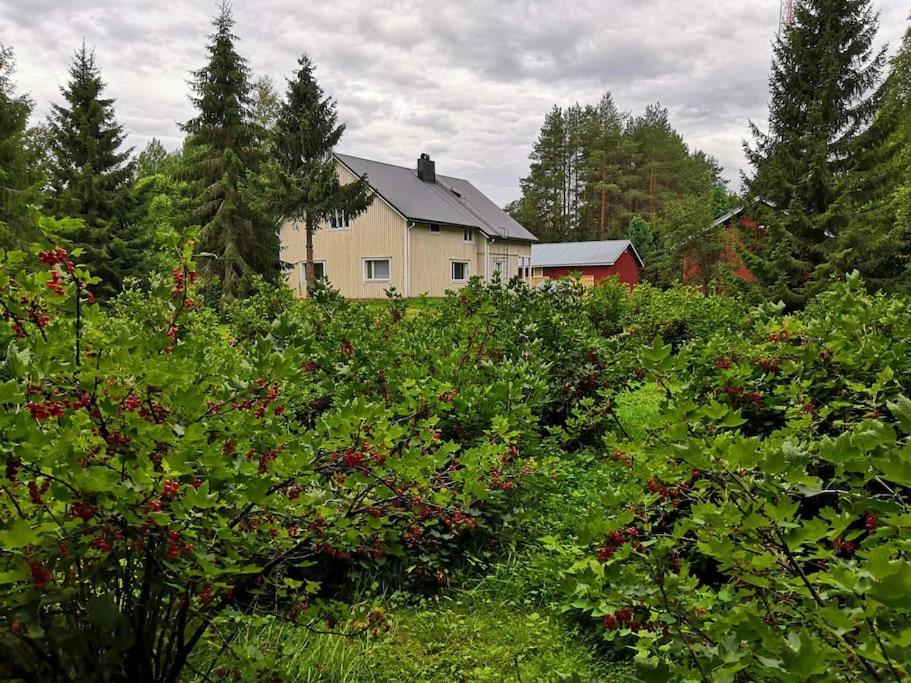 Mukava mummonmökki maaseudun rauhassa - B&B