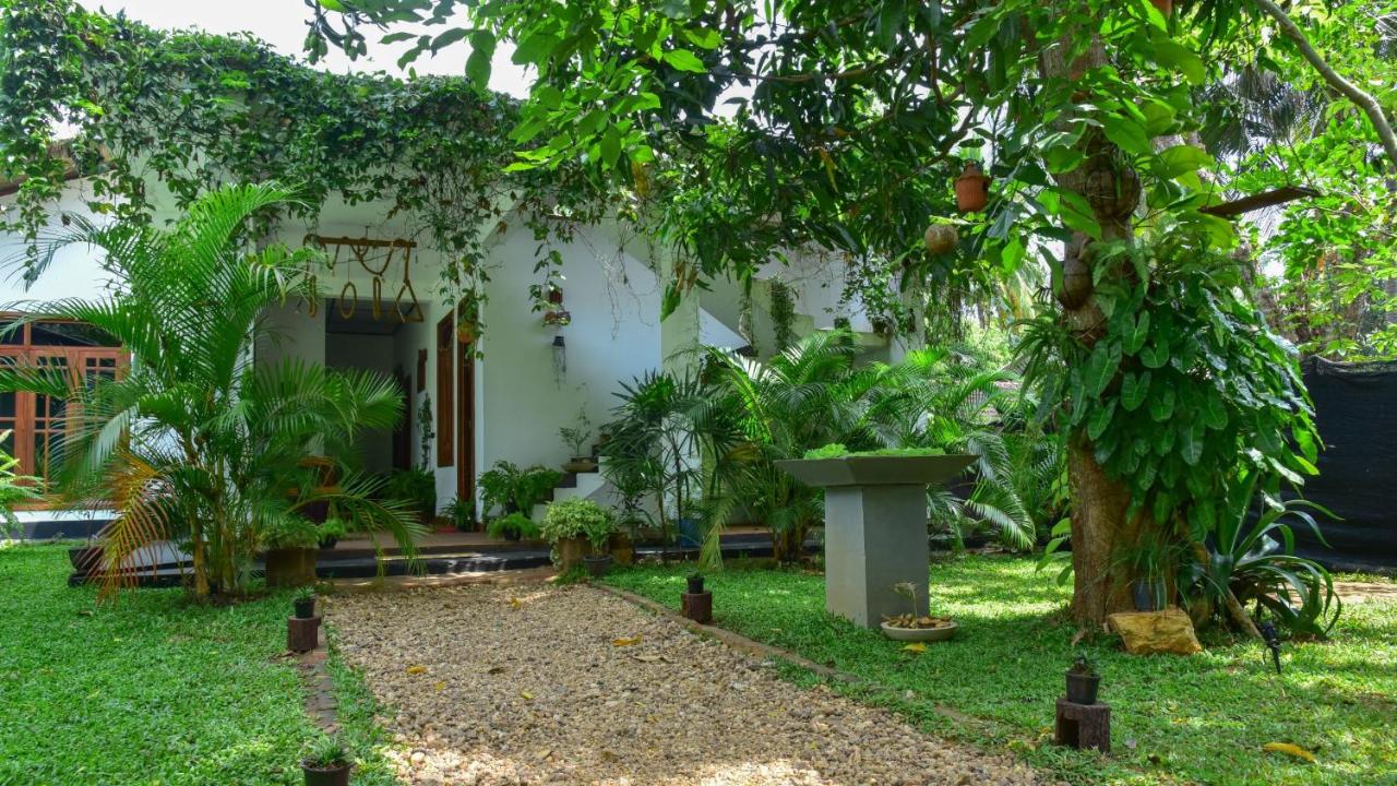 B&B Dambulla - Menara Green Inn - Bed and Breakfast Dambulla