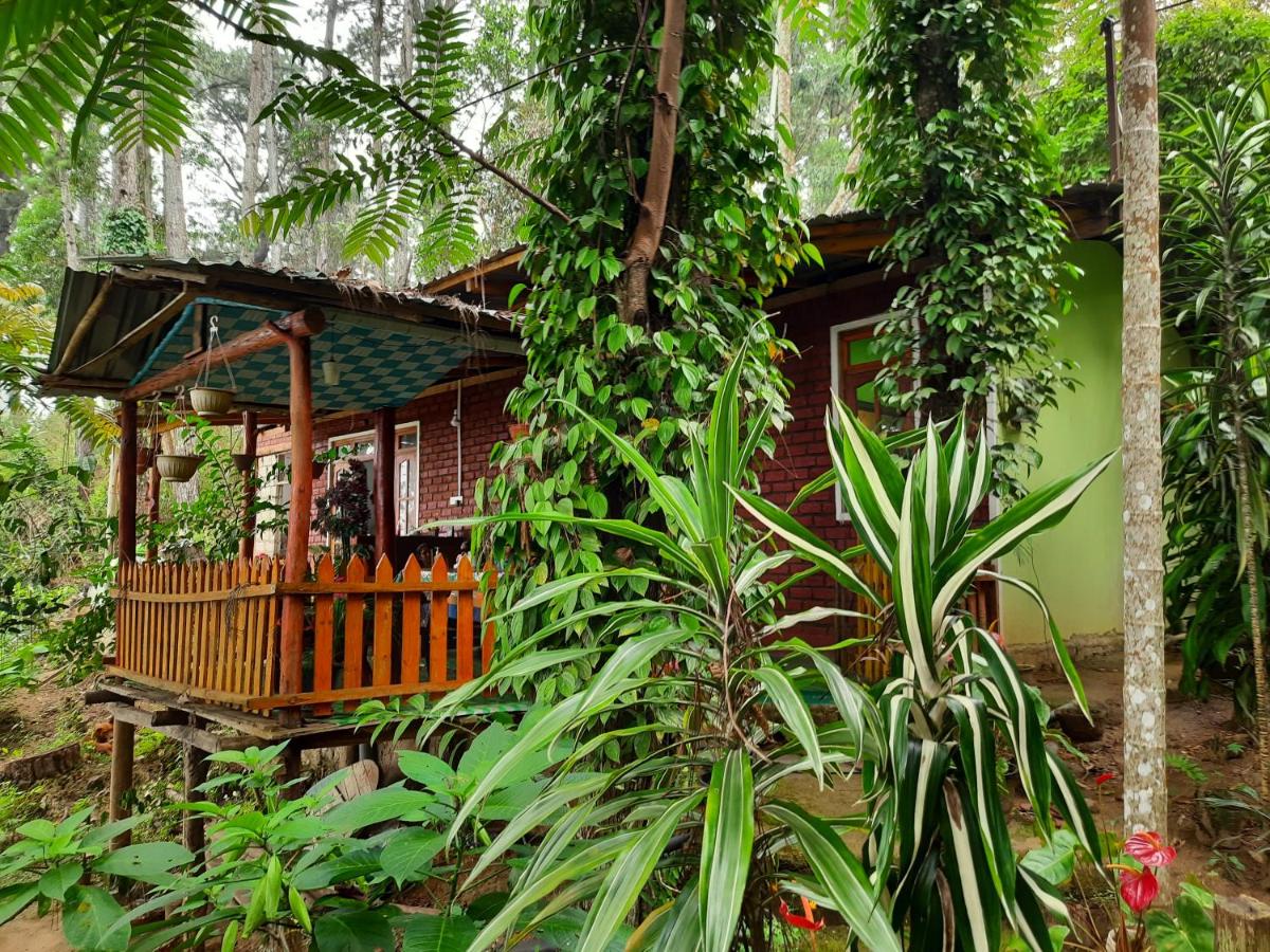 Green Heaven Lodge - B&B