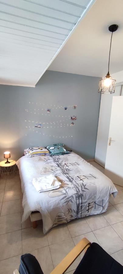 B&B Agen - Hypercentre grand appartement lumineux 3 chambres parking - Bed and Breakfast Agen