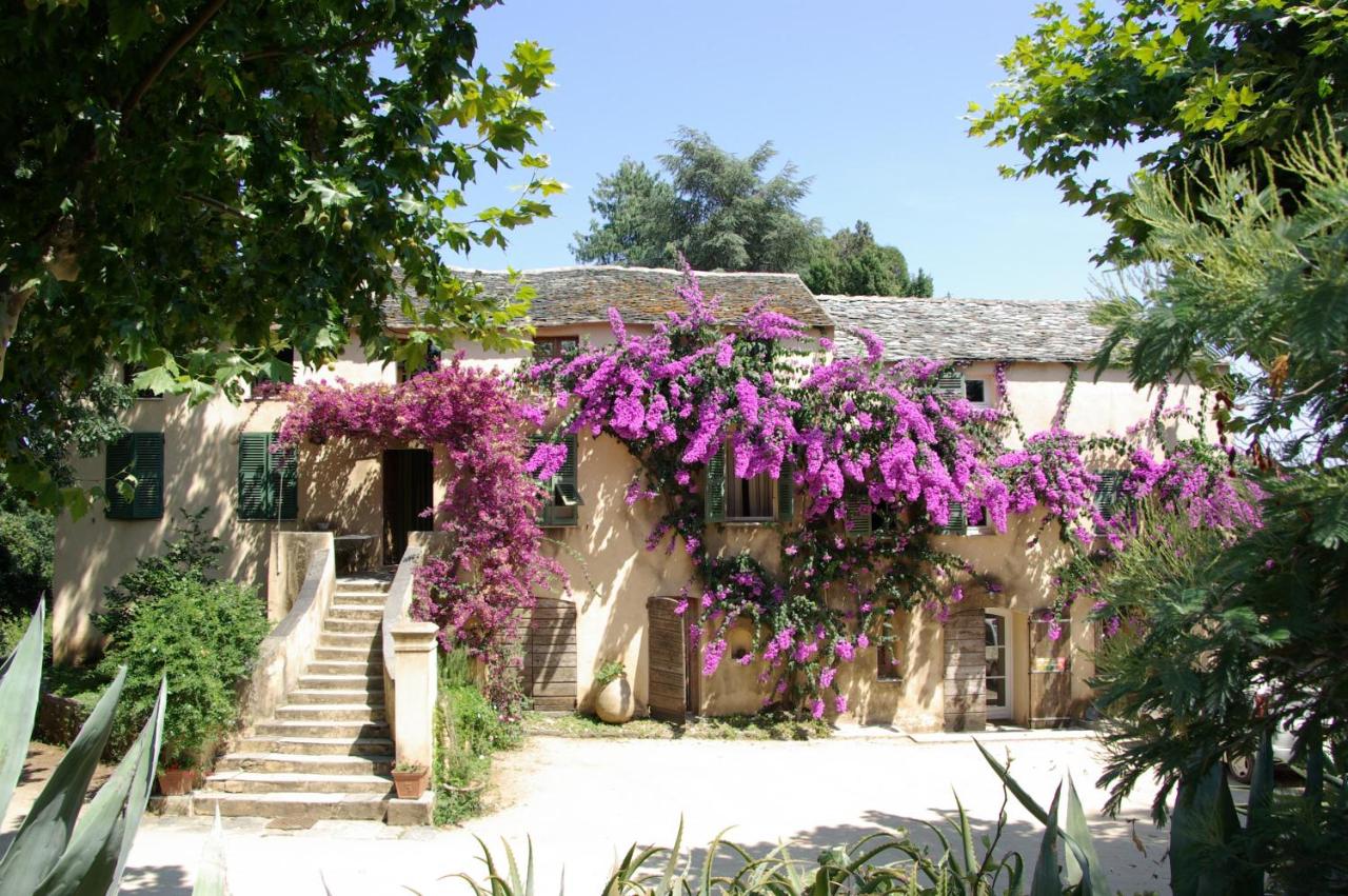 B&B Sorbo-Ocagnano - Domaine de Valle - Bed and Breakfast Sorbo-Ocagnano