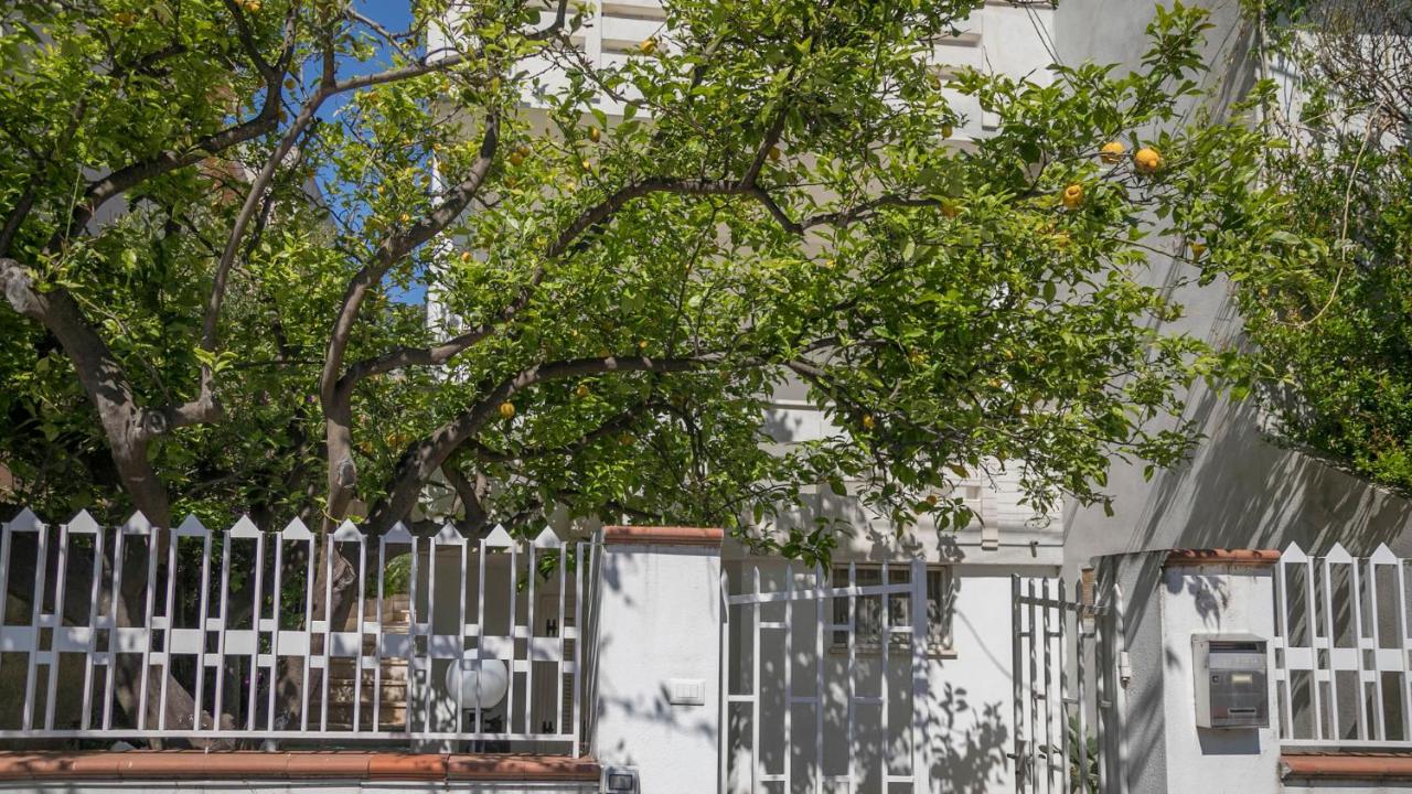 Appartamenti Taloro AB IUN Q3273 - B&B