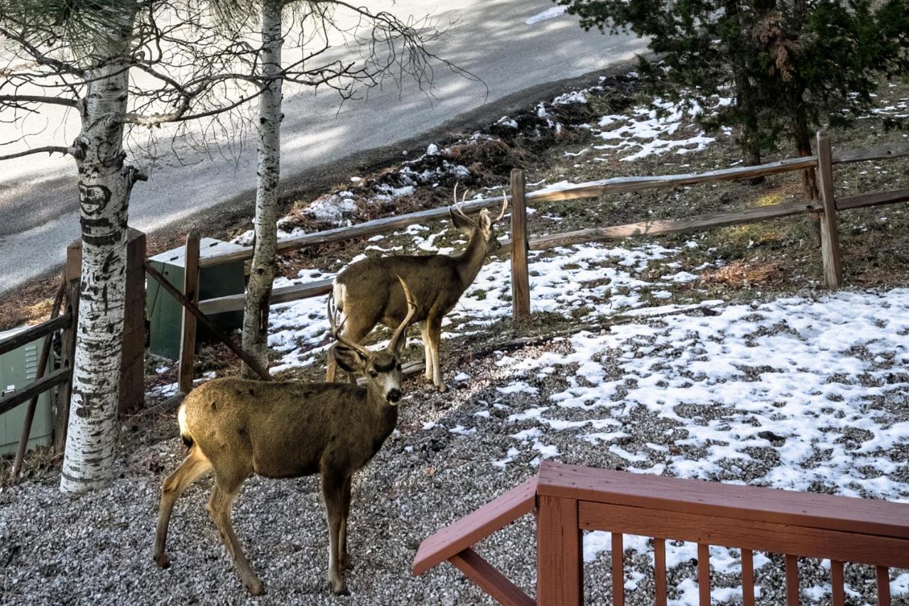 Pinon Park A2 - Bed and Breakfast
