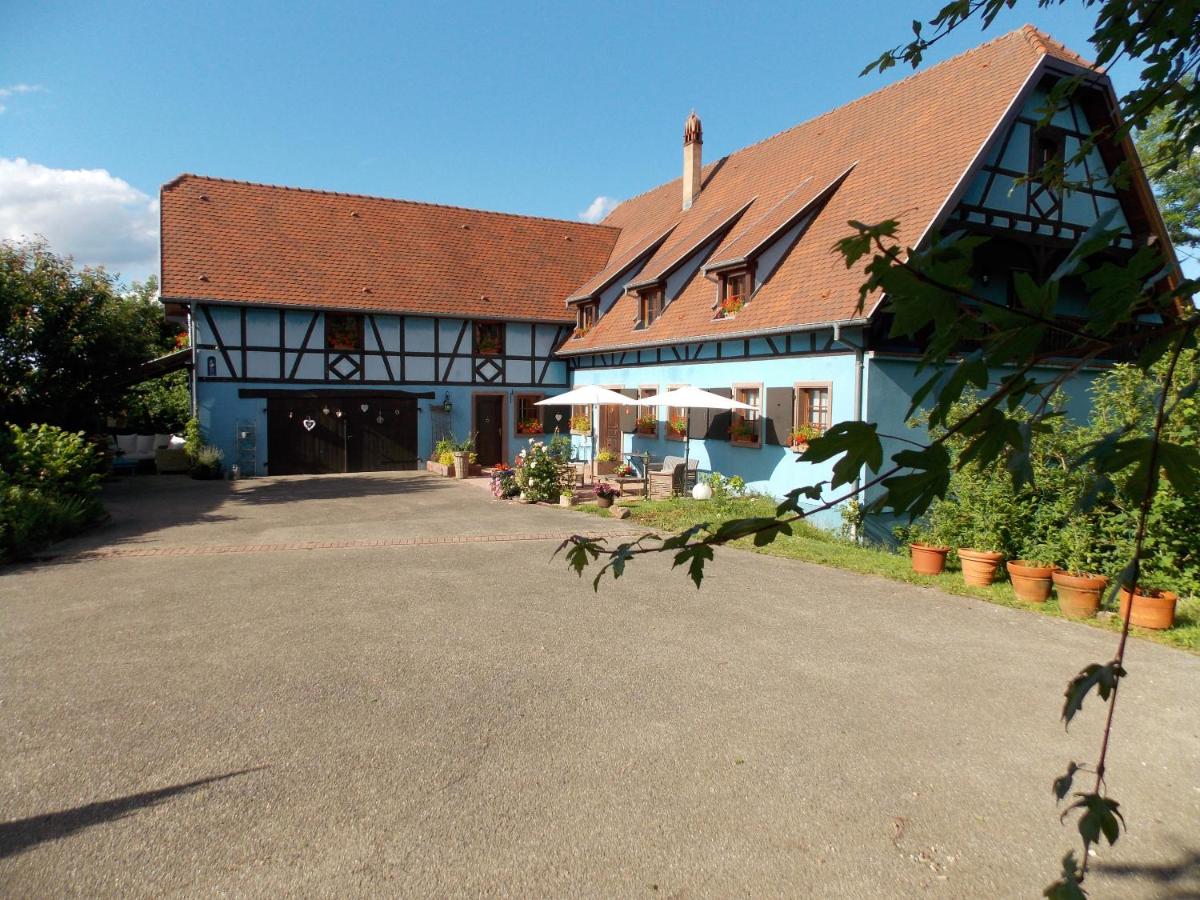 L'atelier du gîte bleu - B&B