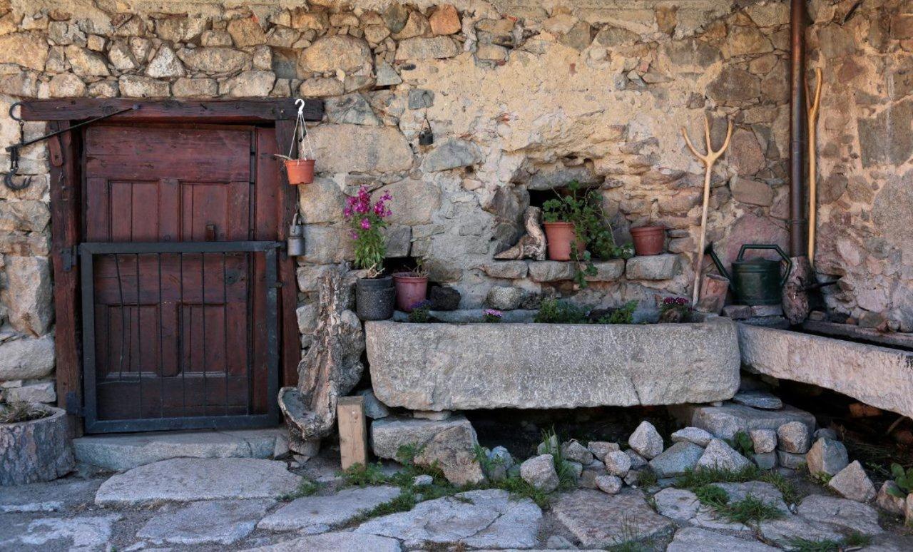 Chalet (6 Volwassenen)