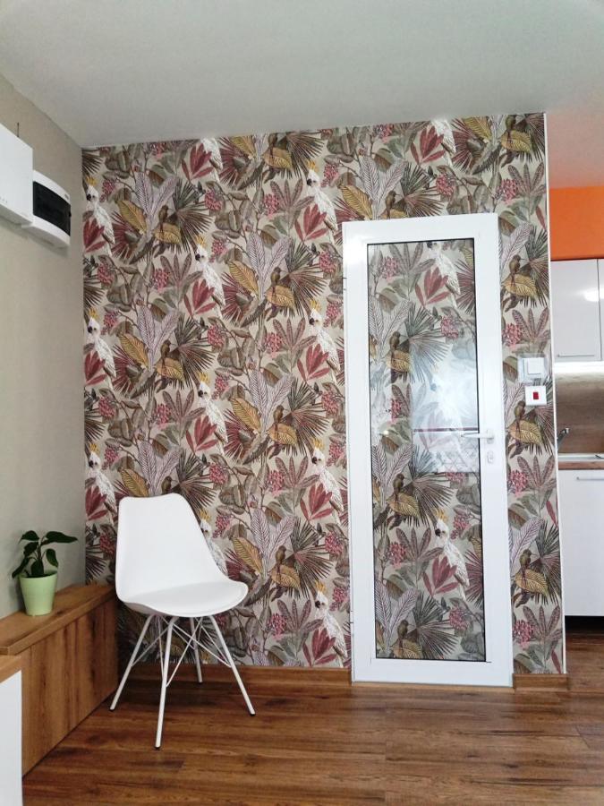 Студио 55 - Bed and Breakfast