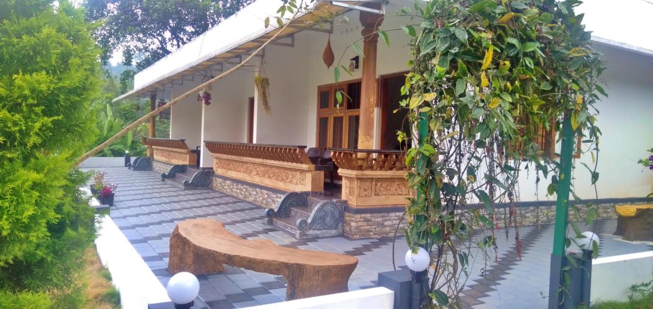 Wild Mist Homestay - Chambres d’hôtes Munnar