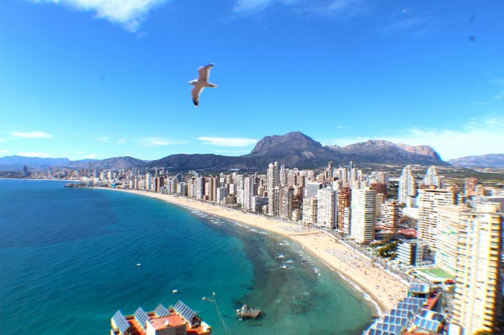 Don Miguel II 18-G Levante Beach - Ferienwohnung Benidorm
