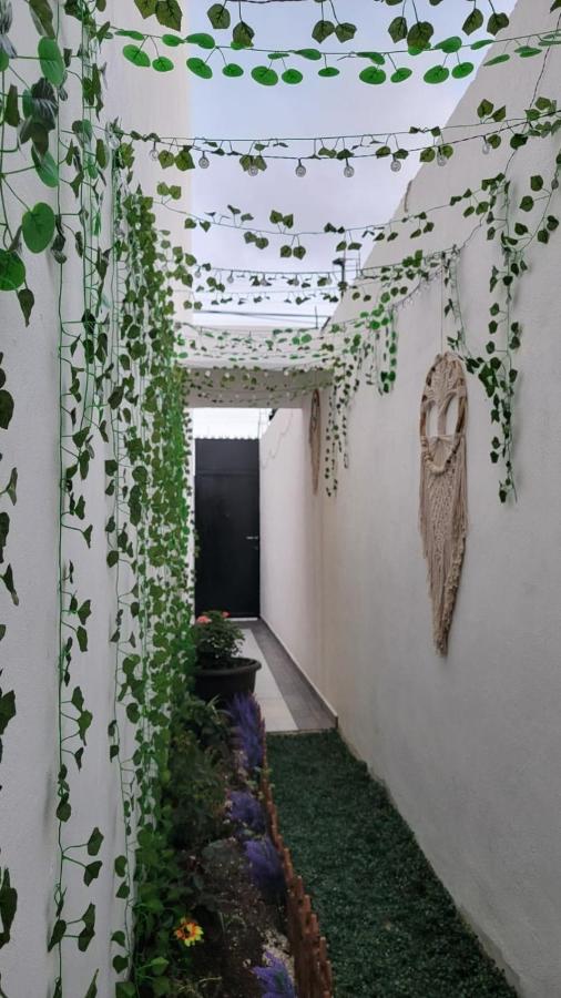 Casa Neptuno Tulum - B&B