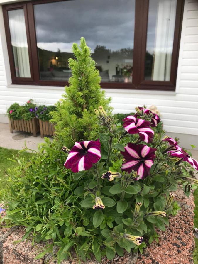 Millview Ullapool - B&B