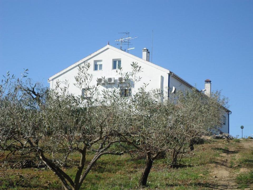 Monte de Stª Margarida II - B&B