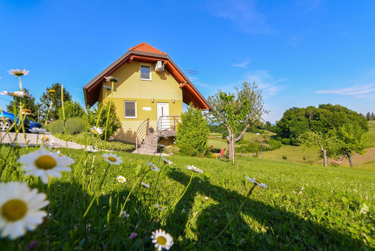 B&B Catez ob Savi - Apartments Vinska Trta - Bed and Breakfast Catez ob Savi