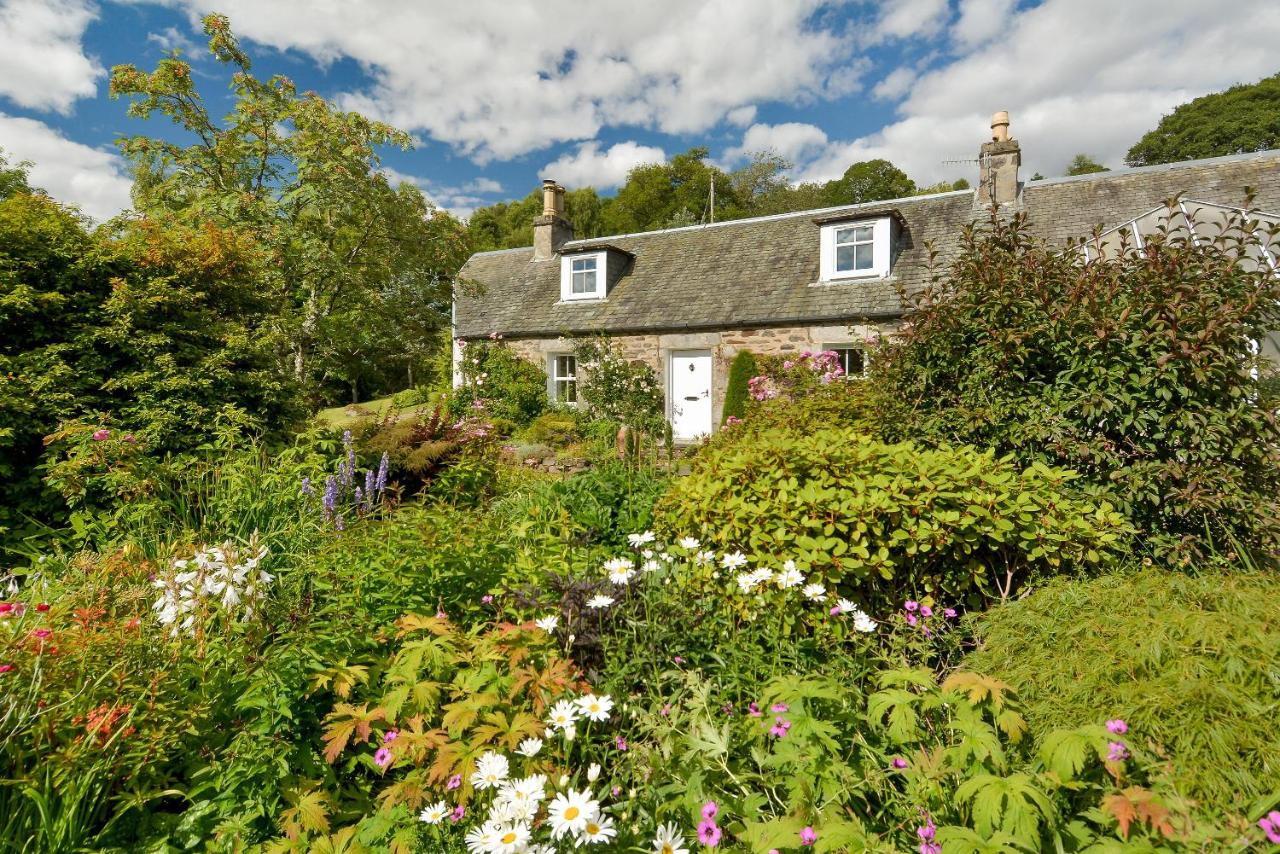 B&B Pitlochry - Wintergreen - Bed and Breakfast Pitlochry