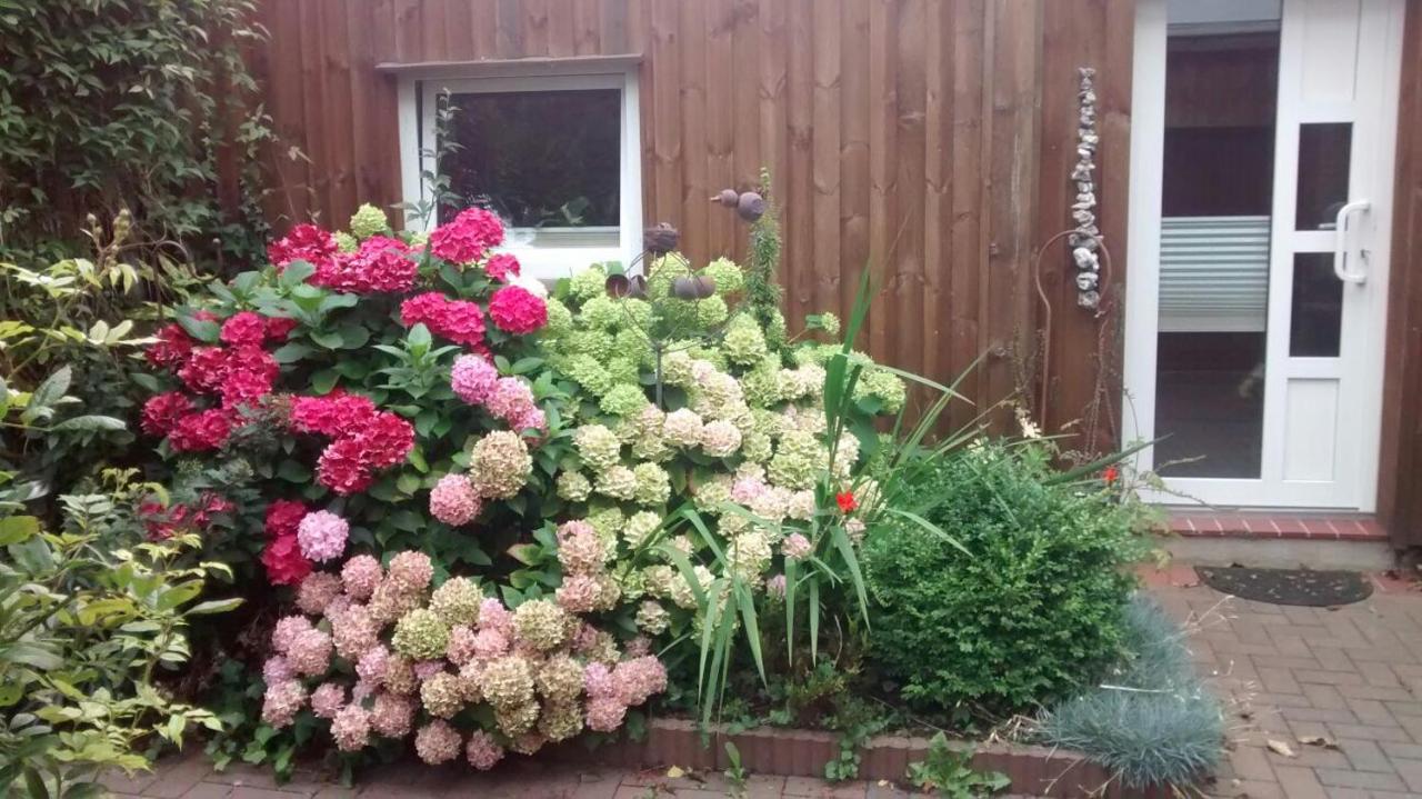 1 Raum Appartement mit Küchenzeile in Kappeln - B&B