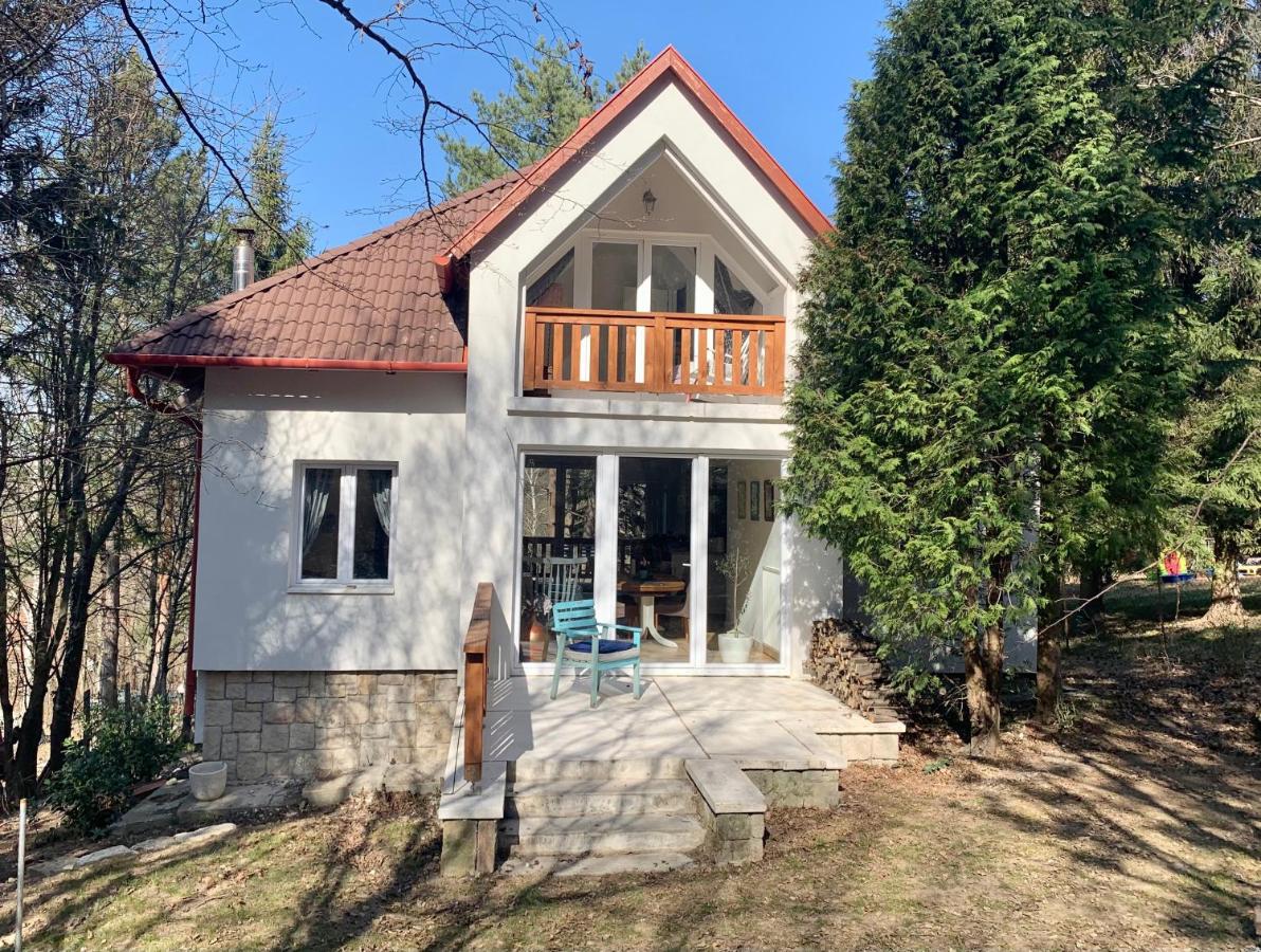 Ház a Pilisben - mókus család a kertben - B&B