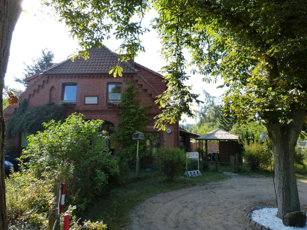 Haus Elbtalaue - B&B