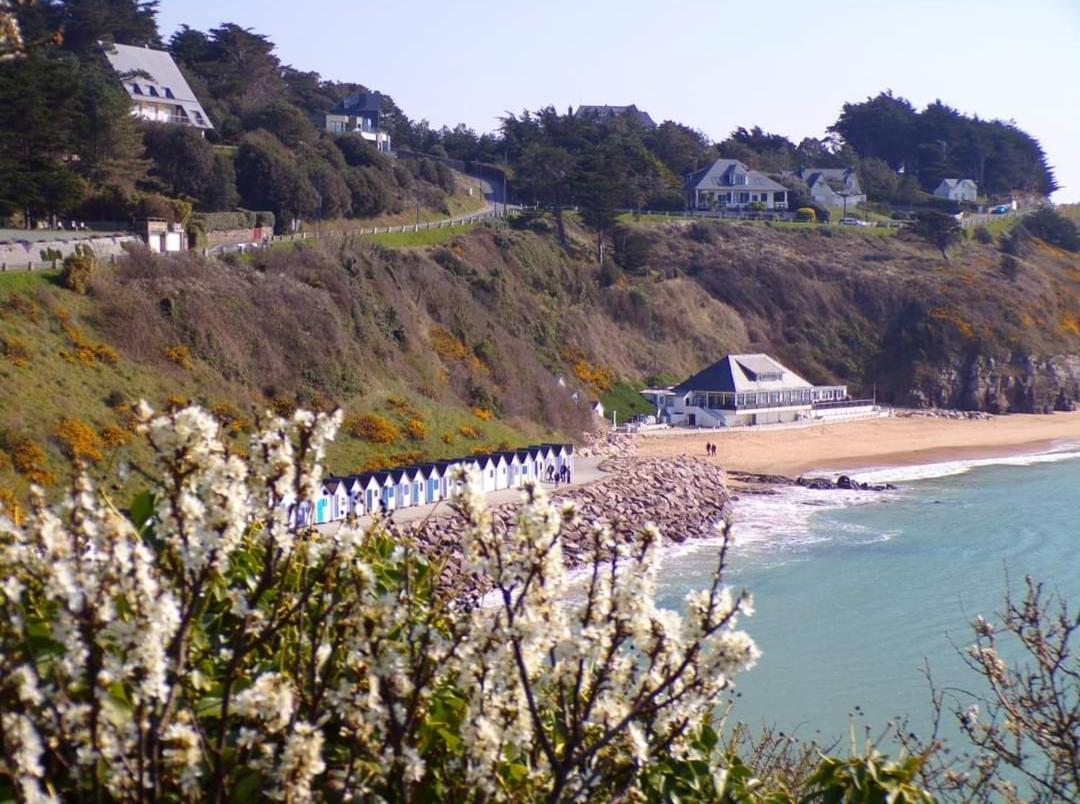 B&B Barneville-Carteret - Maison des rêves à 700m de la mer - Bed and Breakfast Barneville-Carteret