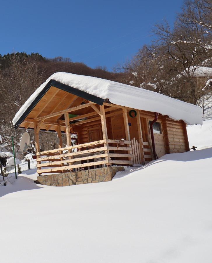 Vikendica Mijajlović 2 - B&B