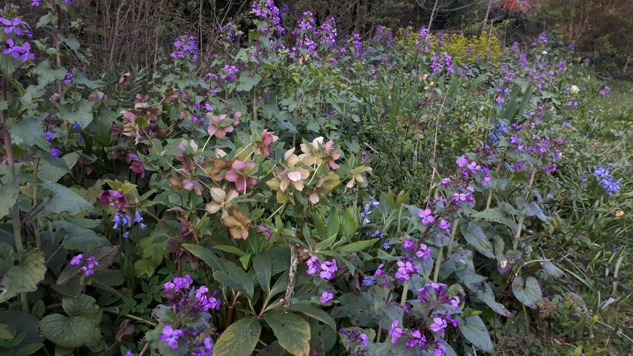 Aubergine - Ferienwohnung Brügge
