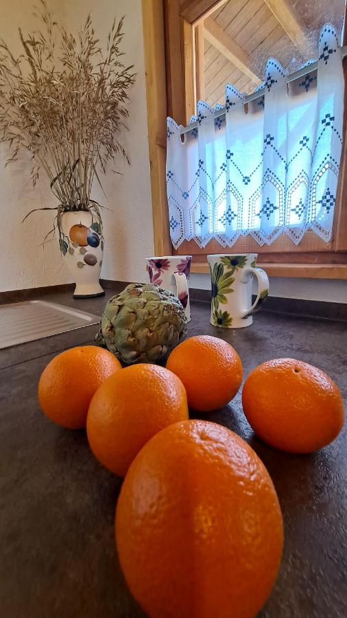 Klimatyczne domy, Ryn Mazury Lawki - B&B Ławki