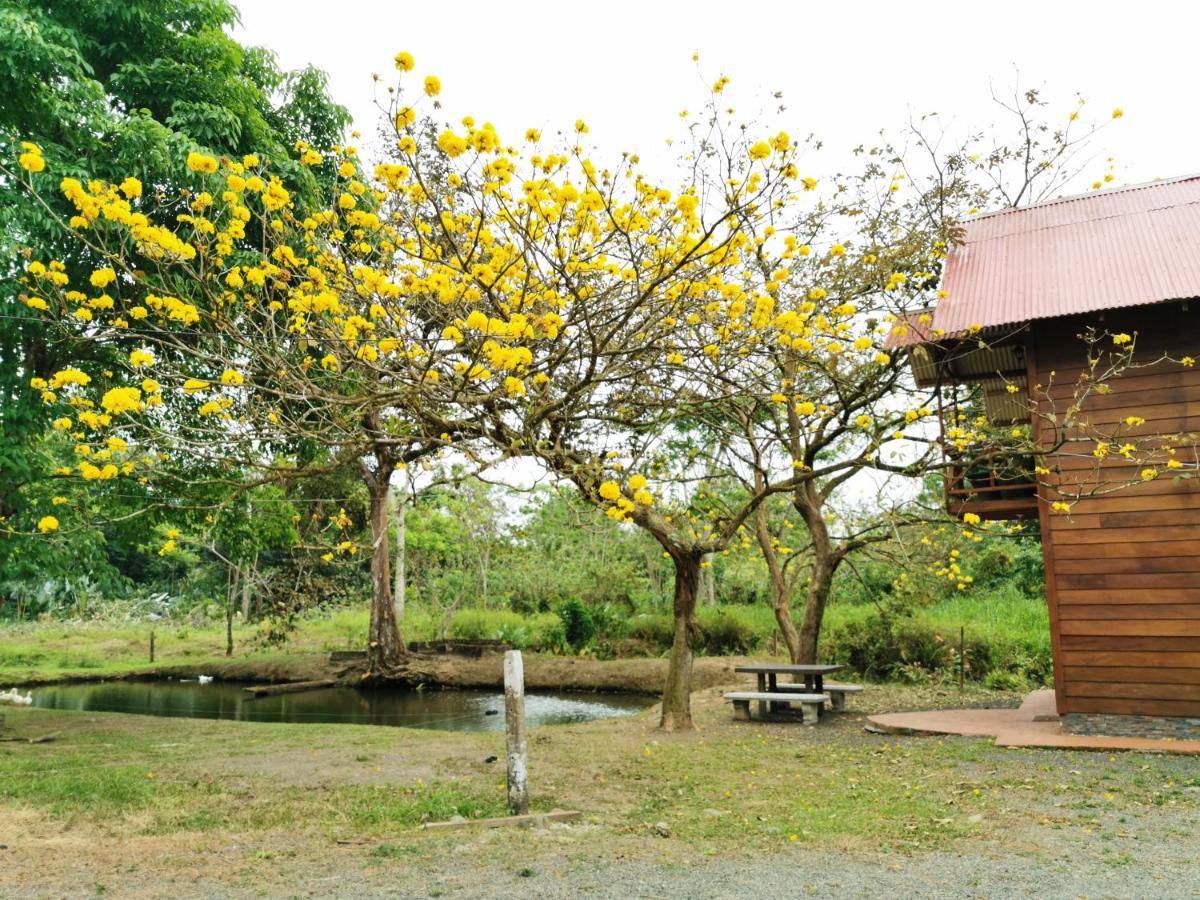 Cabaña del Lago - Ferienwohnung