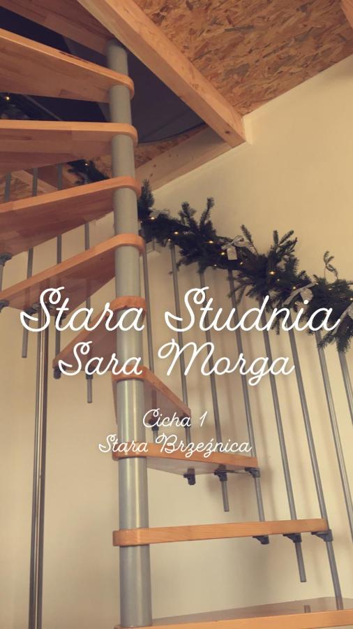 Stara Studnia - Chambres d’hôtes Brzeźnica Stara