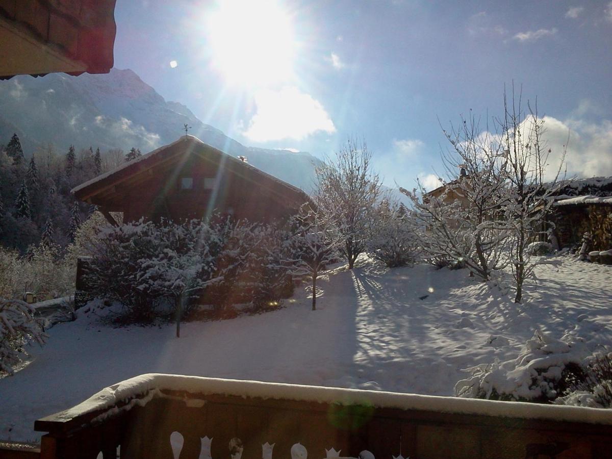 Chalet Indépendant " L'anfian-ne" - B&B