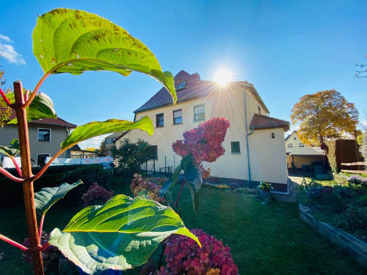 B&B Colditz - Ferienhaus am Hainberg - Bed and Breakfast Colditz