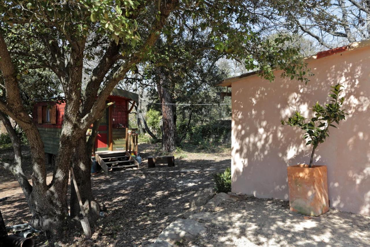 LUBERON DES ARTISTES 2 - B&B