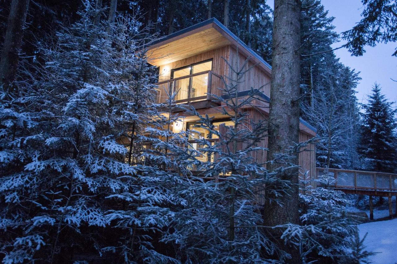 Chalet mit 2 Schlafzimmern