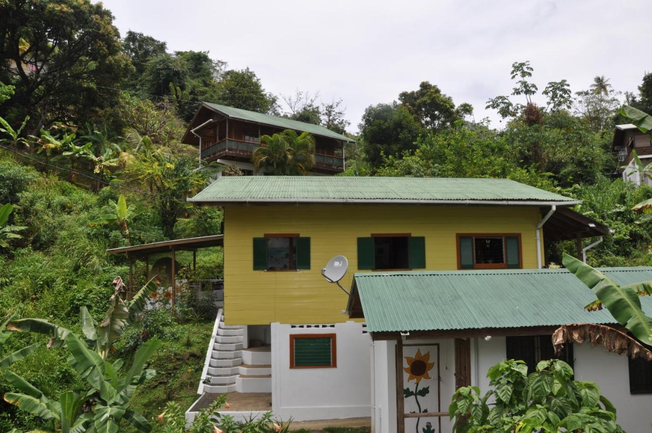 Apartment with Garden View